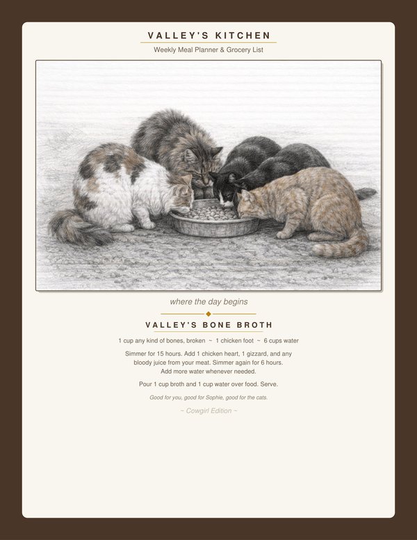 Barn cats at Montana Haven